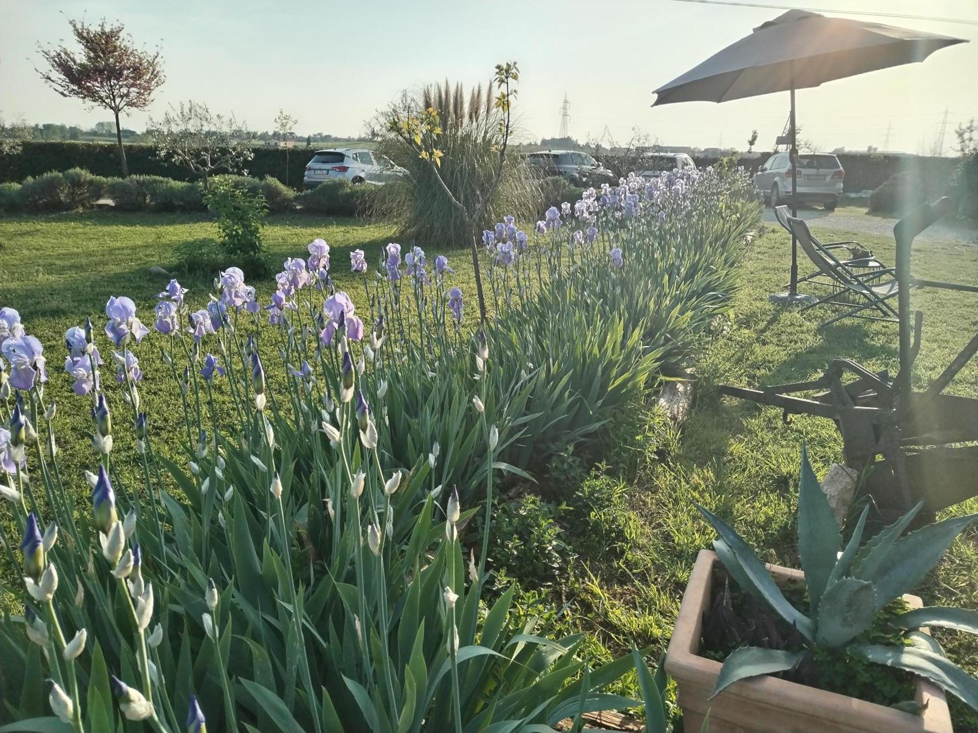 Ca' Blanca Bed & Breakfast Castelnuovo del Garda Exterior photo